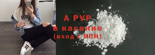 молекула духа Переславль-Залесский