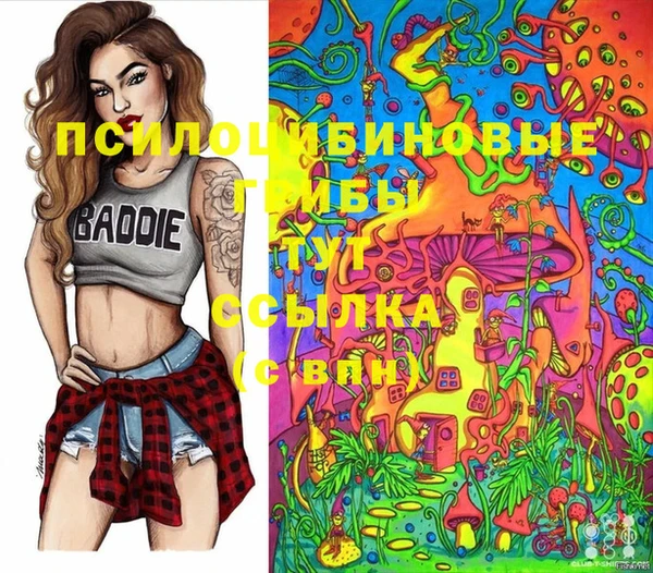 спиды Пестово