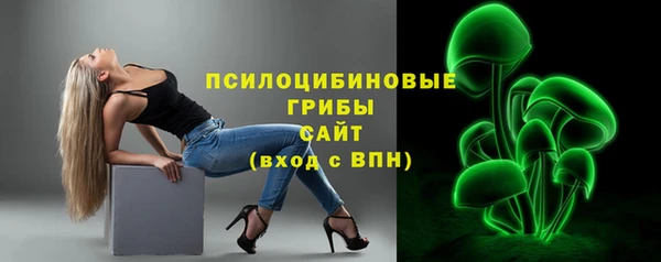 спиды Пестово
