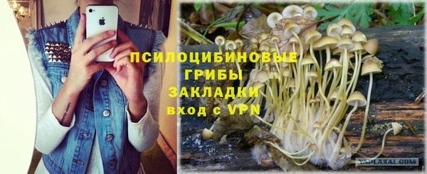 mix Пересвет