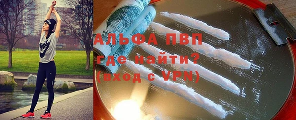 спиды Пестово