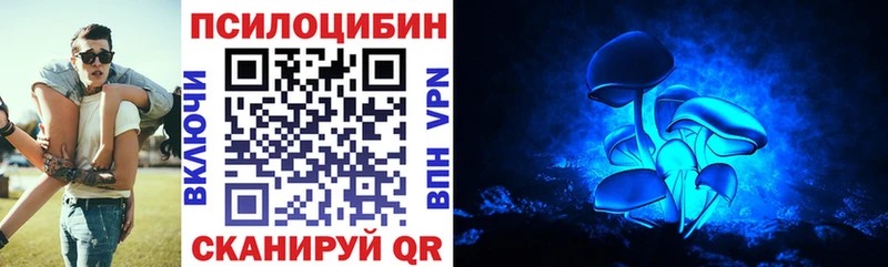 Псилоцибиновые грибы Cubensis  Новая Усмань 